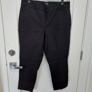 REITMANS Ankle Pants Size 18P